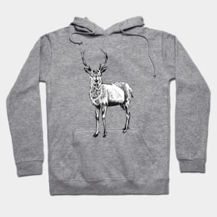 Deer Print Hoodie